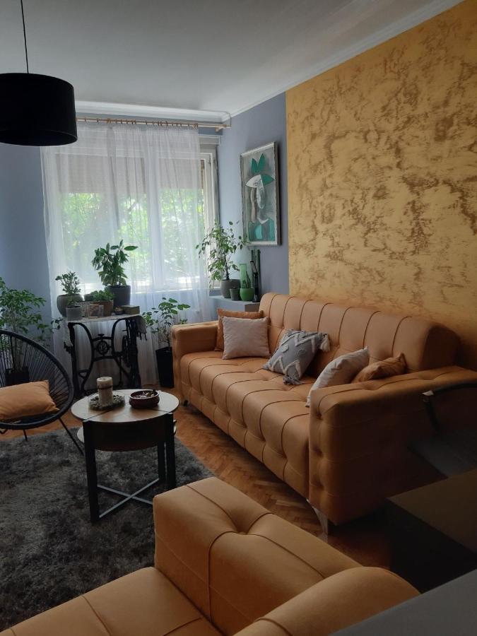 Aparmani Djuric Apartment Subotica Exterior foto