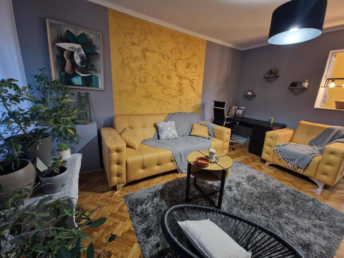 Aparmani Djuric Apartment Subotica Exterior foto